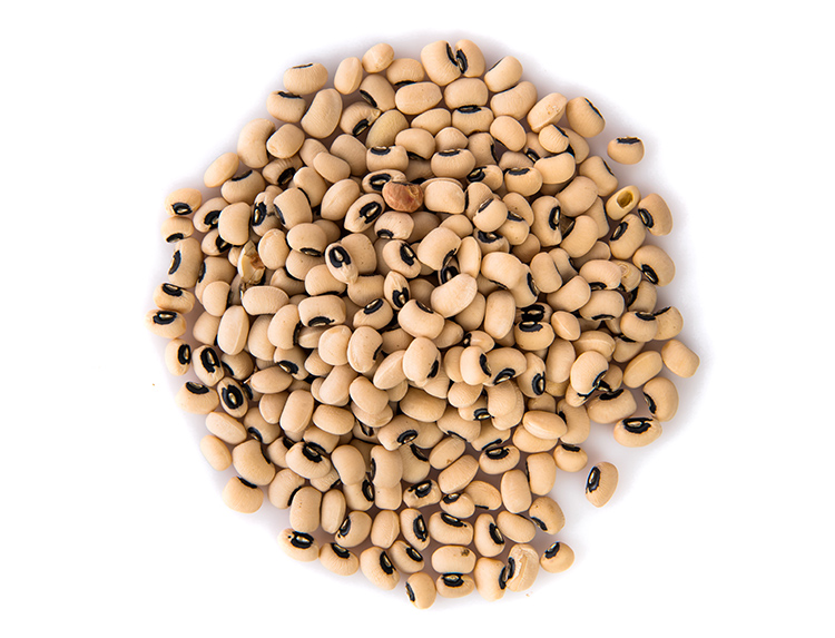 Kidney Bean
