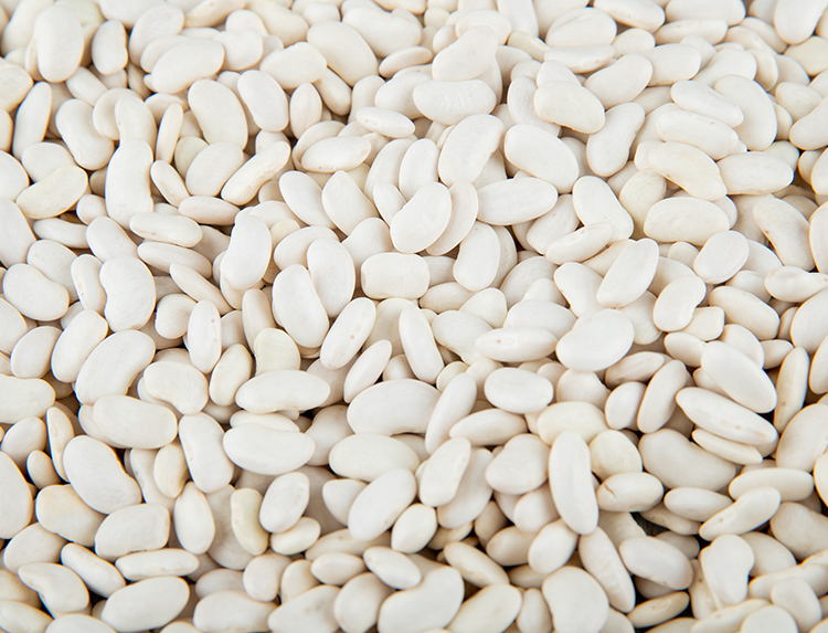 Beans