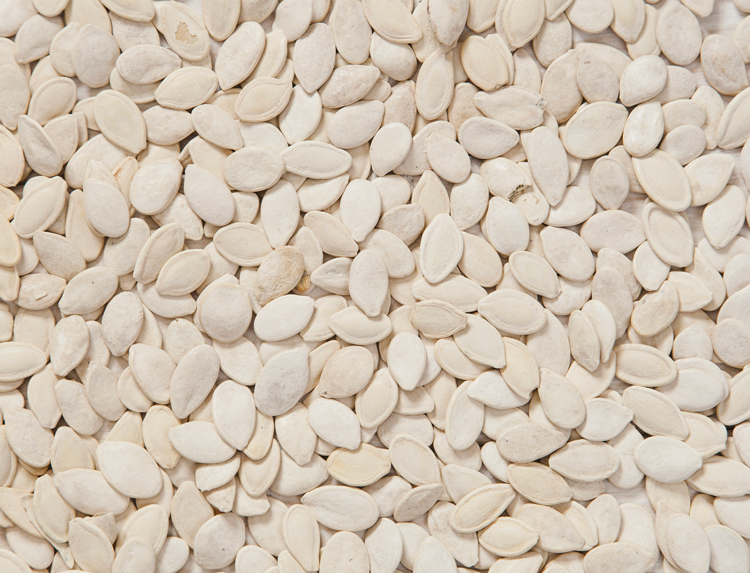 Pumpkin Seeds