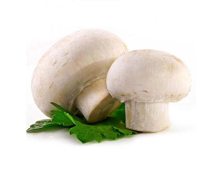 Mushrooms