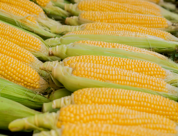 Corn