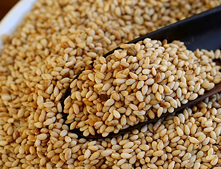 Sesame