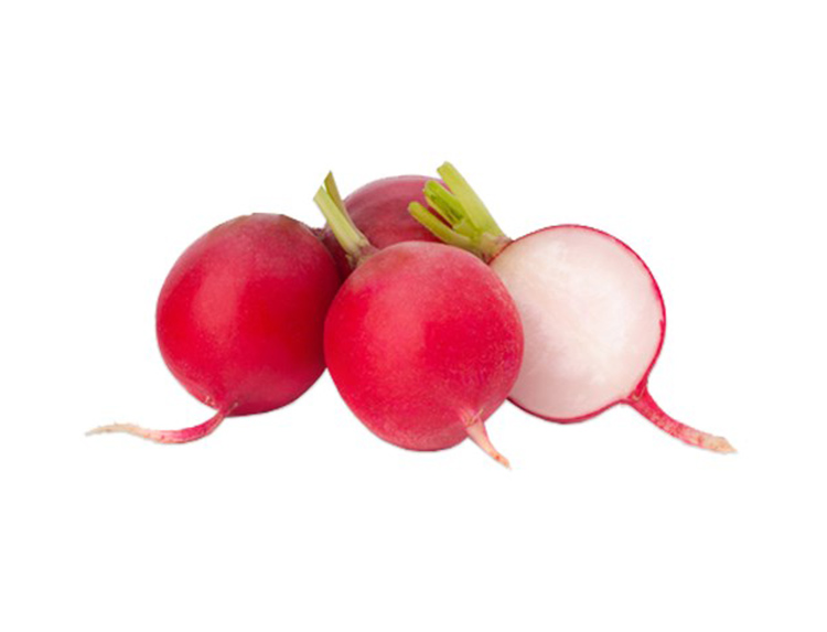 Radish