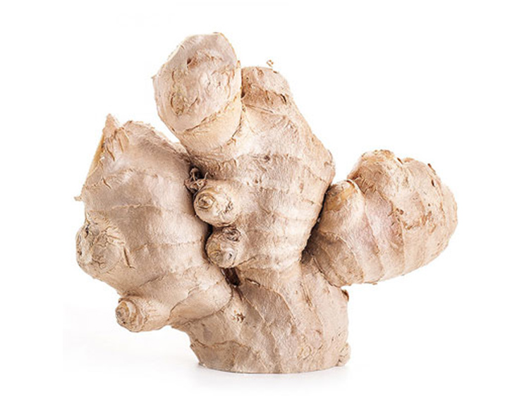 Curcuma